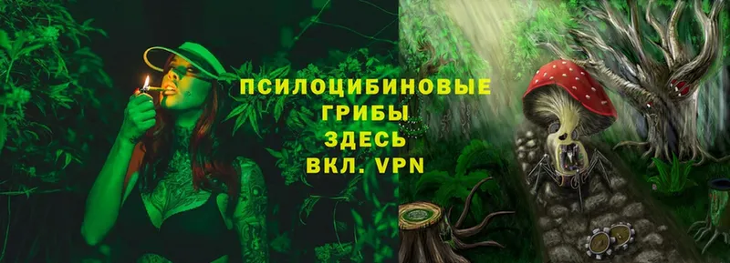 Продажа наркотиков Звенигово Гашиш  Конопля  КОКАИН  МЕФ 